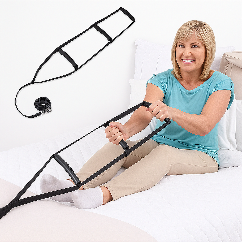 bed assist ladder, 