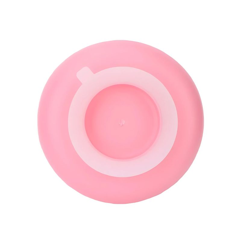 Suction cup plate