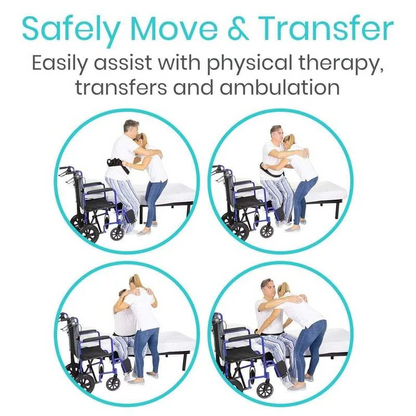 transfer belt

