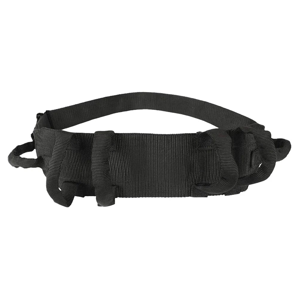 Elderly Mobility Aid

