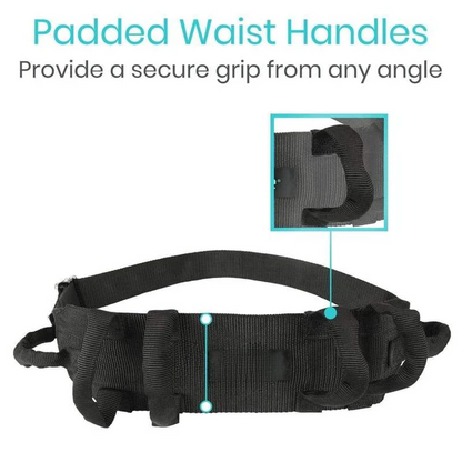 therapy belt

